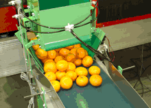 水果自动装箱